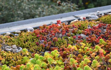 the cost of Manningford Bruce green roof installation