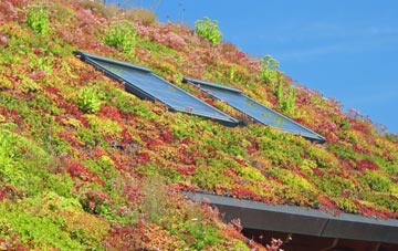 Manningford Bruce living roof systems